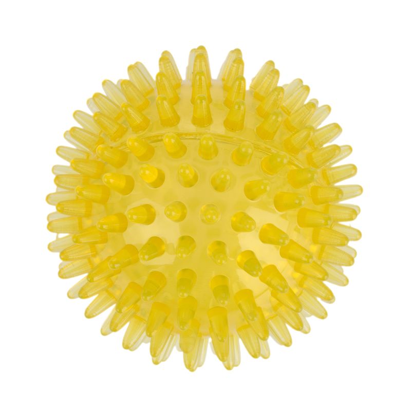 zooplus Basics Spiky Ball Set Set of 3