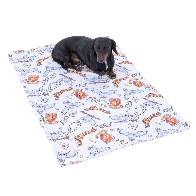 Warner Bros™ Harry Potter Hedwig Pet Blanket 100 x 70 cm (L x W)