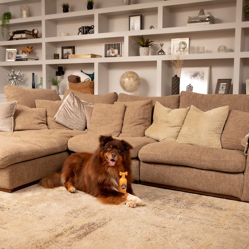 Pet Head Ditch the Dirt Shampoo (300ml)