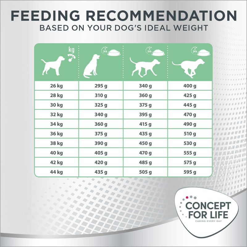 Concept for Life Large Sensitive 1.5kg