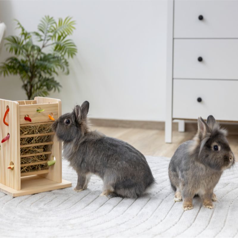 Kerbl Pet Hay and Vegetable Tower for Small Animals 24 x 24 x 30cm (L x W x H)