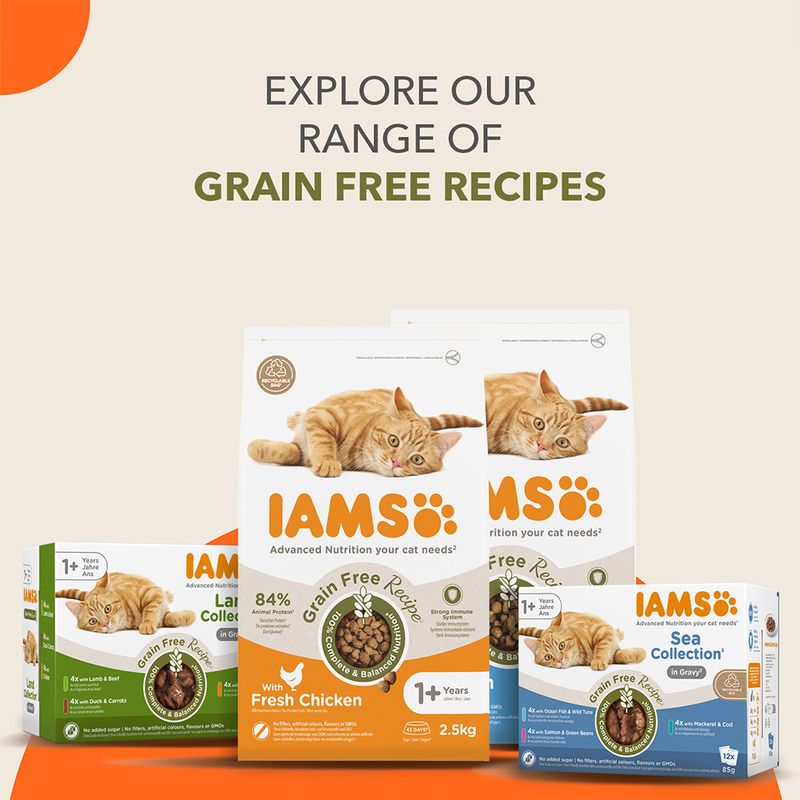 IAMS Advanced Nutrition Grain Free - Land Collection in Gravy 12 x 85g