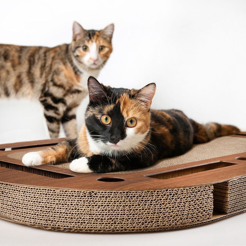 Canadian Cat Company PlayPlate XL Walnut approx. 85 x 54 x 5.8cm (L x W x H)