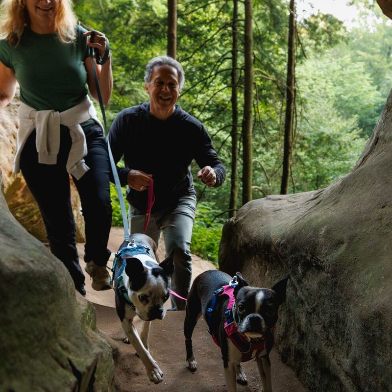 Ruffwear Hi & Light Harness - Alpen Glow Pink Size XS: 43 - 56cm Chest Circumference