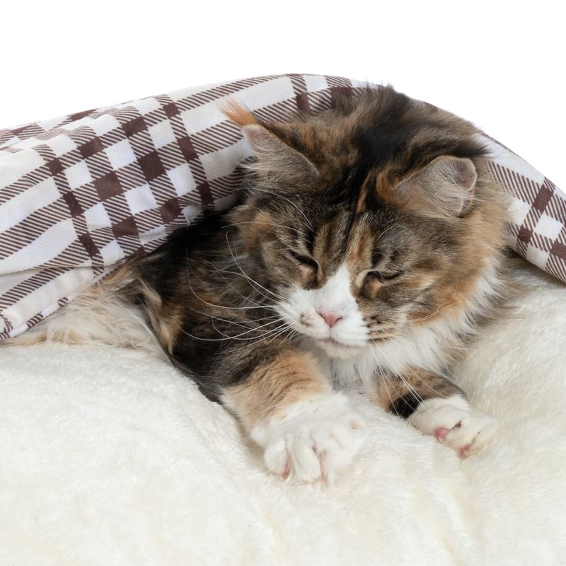zooplus Basics Checked Cuddle Bed Cushion 60 x 50 x 15 cm (L x W x H)