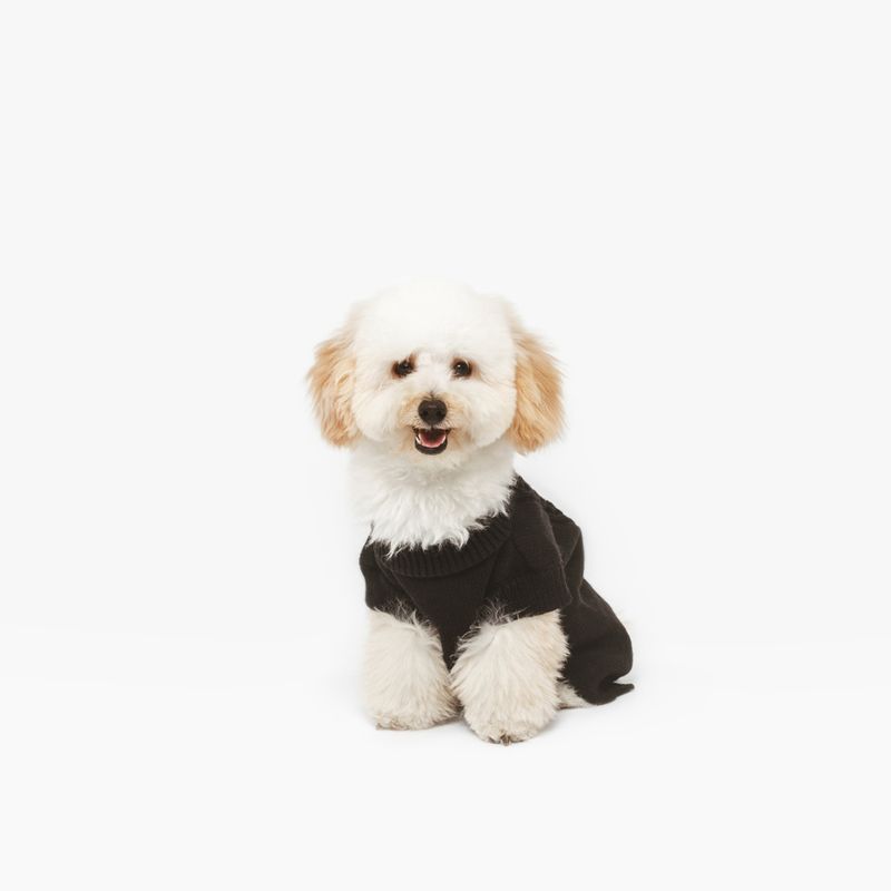 Nomad Tales Blush Dog Jumper - Ebony approx. 35cm Back Length