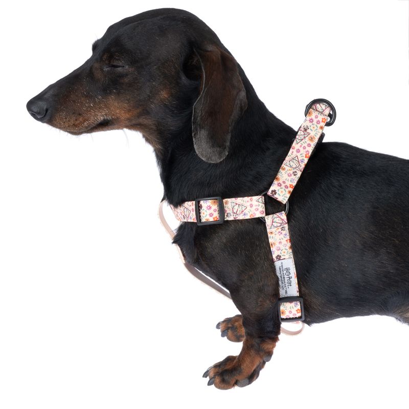 Harry Potter Deathly Hallows Harness - Beige Size S: Chest Circumference 39 - 51 cm