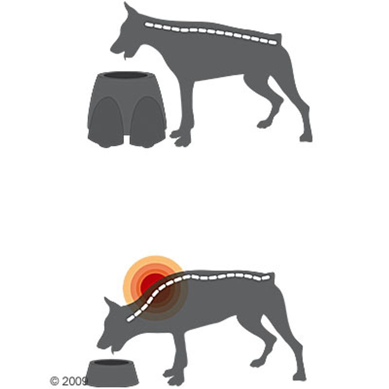 Savic Ergo Feeder Doggy Bar 2 x 0.85 l