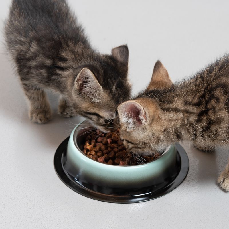 TIAKI Anti-Slip Bowl - Green Shades 250 ml, diameter 15.7 cm