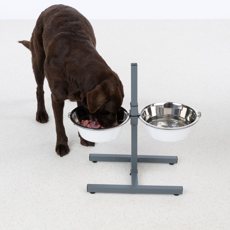 TIAKI Double Bowl with Adjustable Stand 2 x 875ml, diameter 17cm