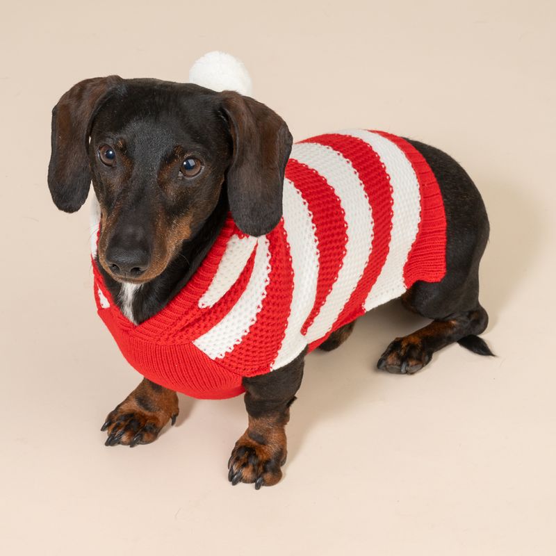TIAKI Red Striped Jumper for Dogs Size M: approx. 30.5cm Back Length