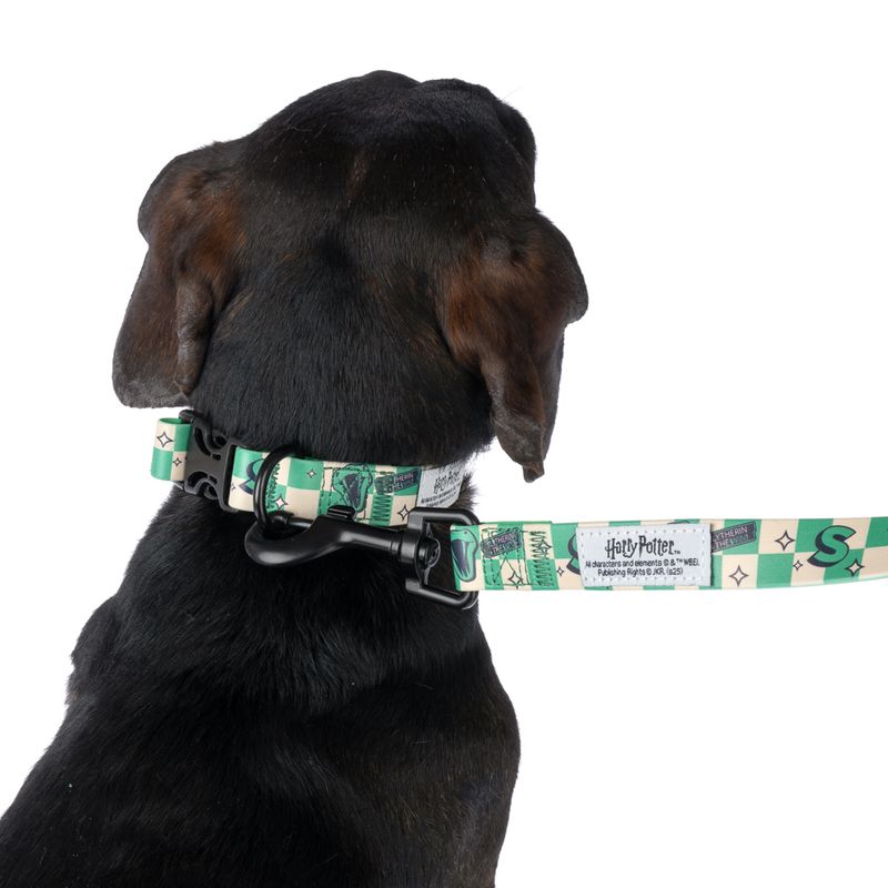 Harry Potter Slytherin Collar - Green Size S: Neck Circumference 25 - 36 cm, Width 20mm