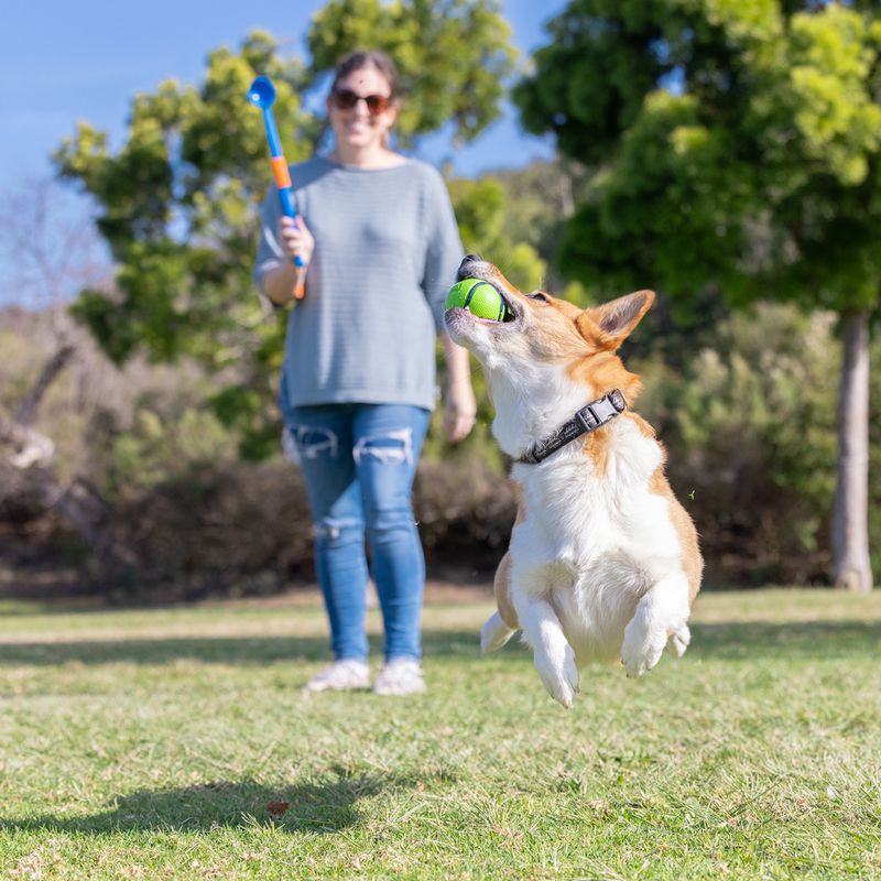 Chuckit! Sniff Fetch Balls Canister 4 balls, 6.5cm (W)