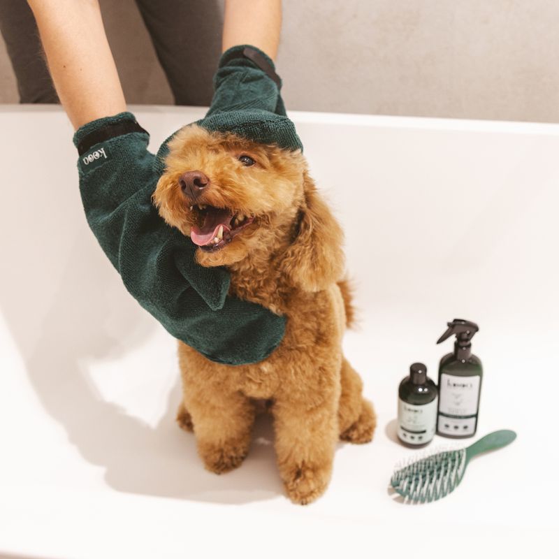 kooa Drying Glove 2 Gloves