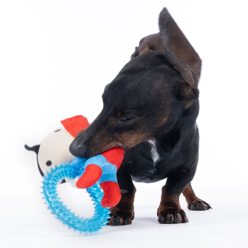 Warner Bros™ DC Superman Dog Toy with Ring Approx. 17 x 16 x 5cm (L x W x H)