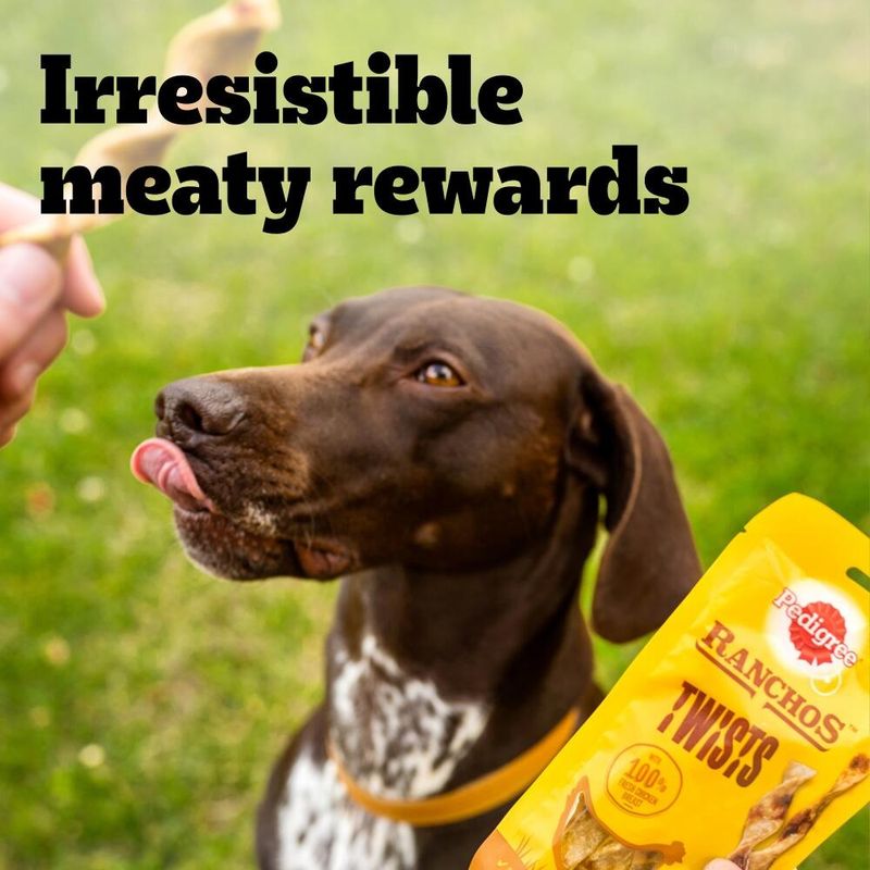 Pedigree Ranchos Twists Chicken (60g)