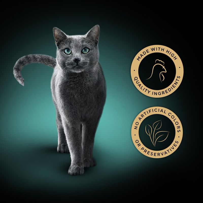 Sheba Fillets 32 x 60g Chicken with Tuna