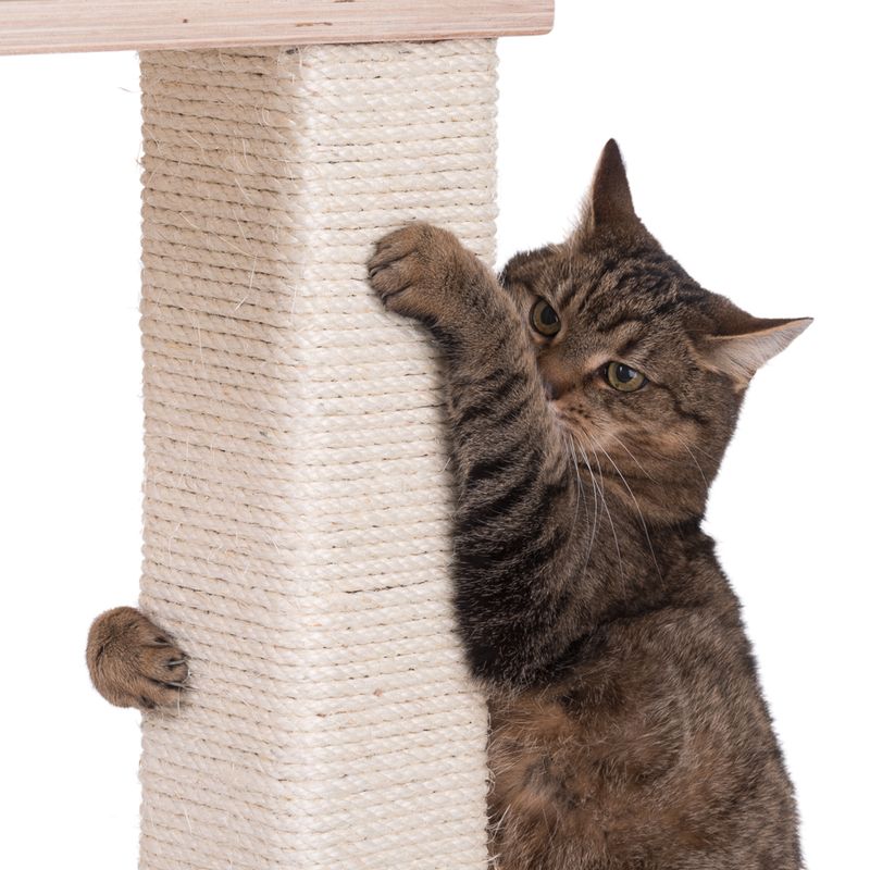 Natural Paradise Scratching Tree - Orchid Vanda L Cream