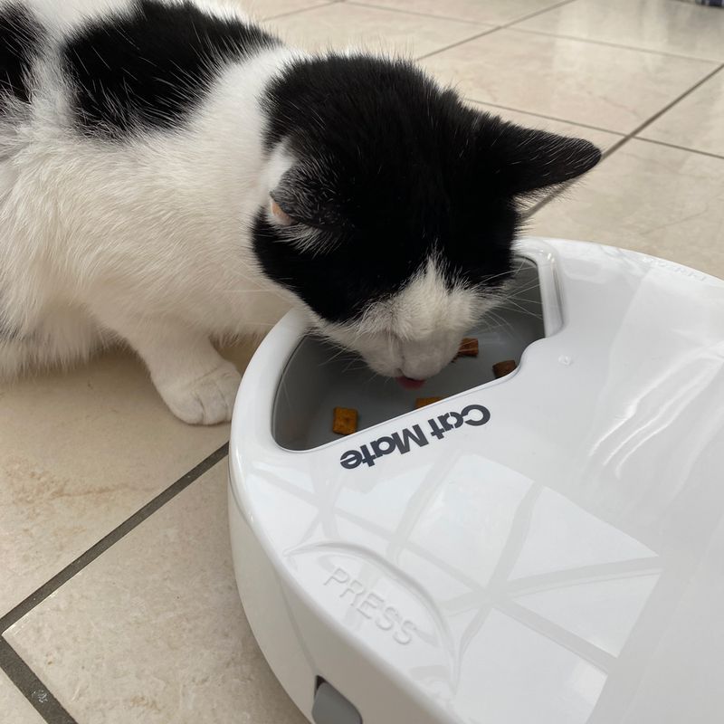Cat Mate C300 Automatic Feeder 3-Meal Feeder