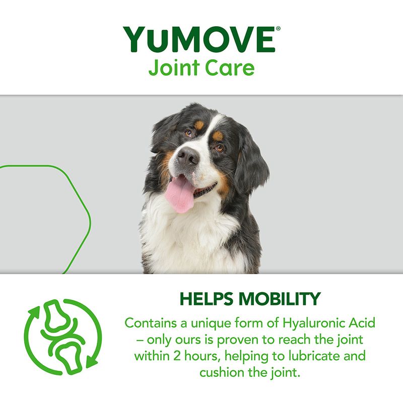 YuMOVE Joint Care for Senior Dogs 120 Tablets