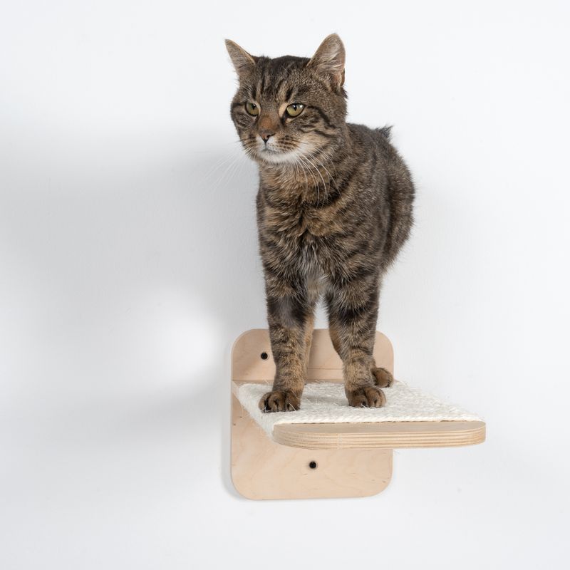 Natural Paradise Dahlia Sisal Platform Nature