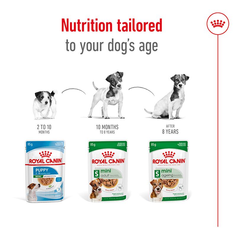Royal Canin Mini Ageing in Gravy 12 x 85g