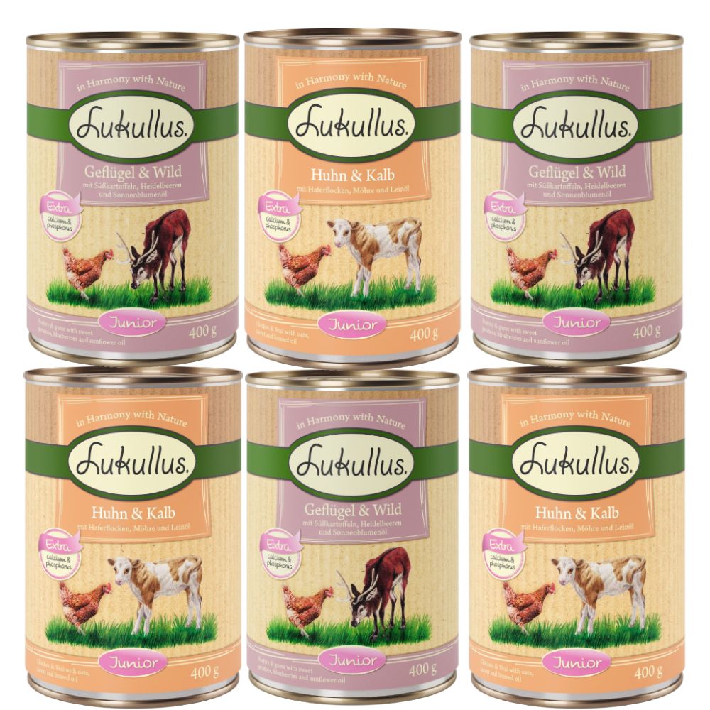 Lukullus Junior Mixed Trial Pack 6 x 400g Mix 1: 6 x 400g