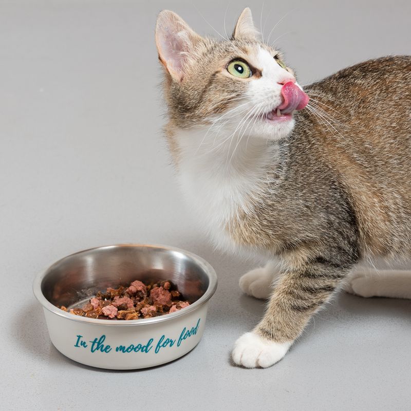 TIAKI stainless steel bowl \