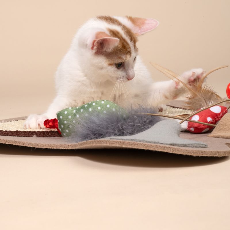 TIAKI Pawprint Interactive Mat for Cats 1 Mat