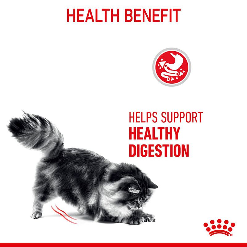 Royal Canin Digestive Care 400g