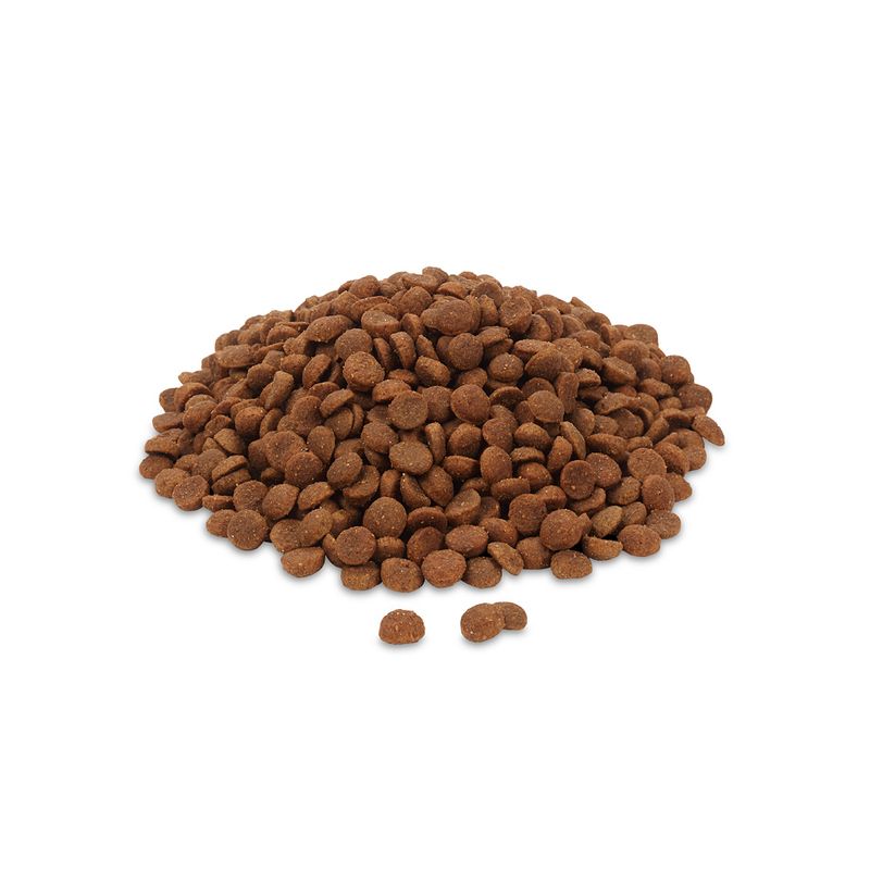 Feringa Adult Classic Beef 2kg