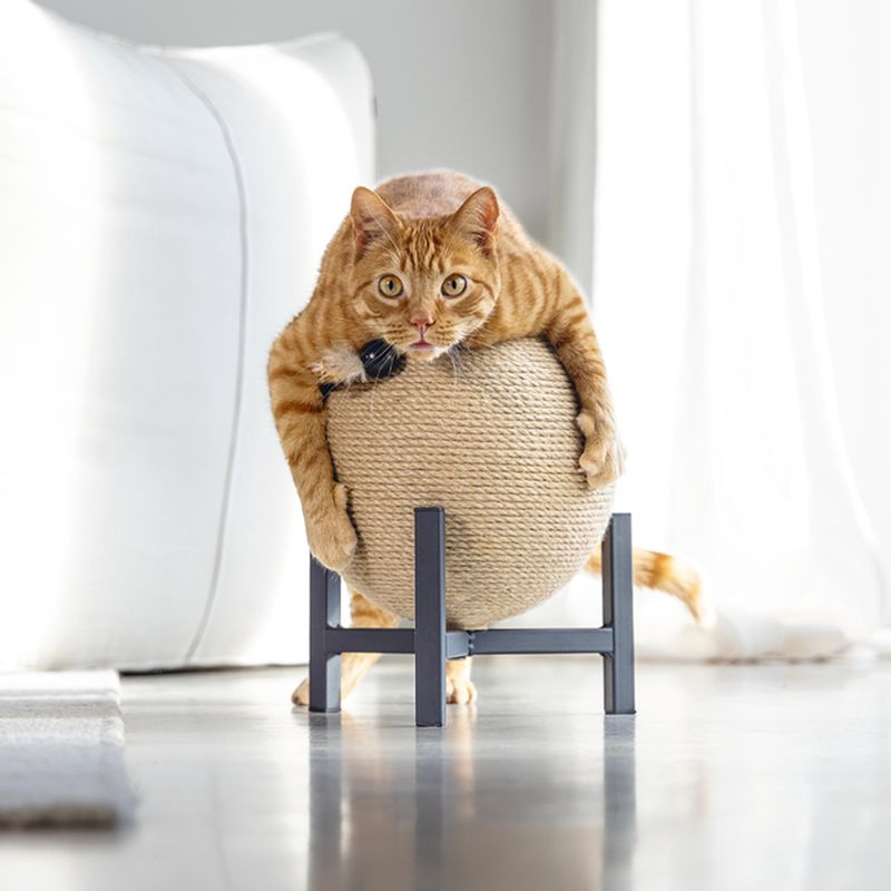 Designed by Lotte Met Tyra Scratching Ball 27 x 33cm (diameter x H)