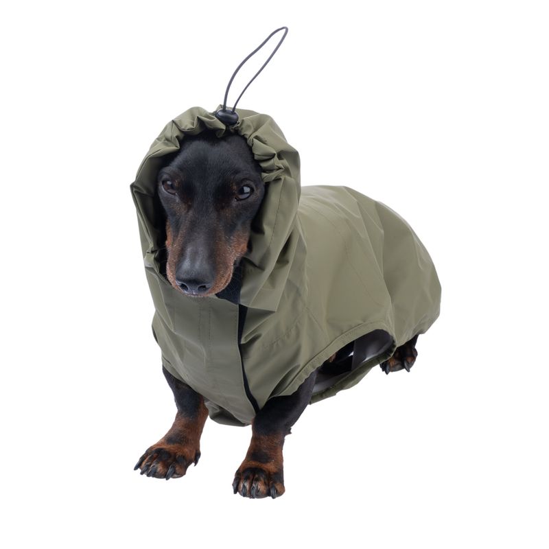 TIAKI Pet & Parent Matching Raincoat Set Raincoat Set for Owners: S/M