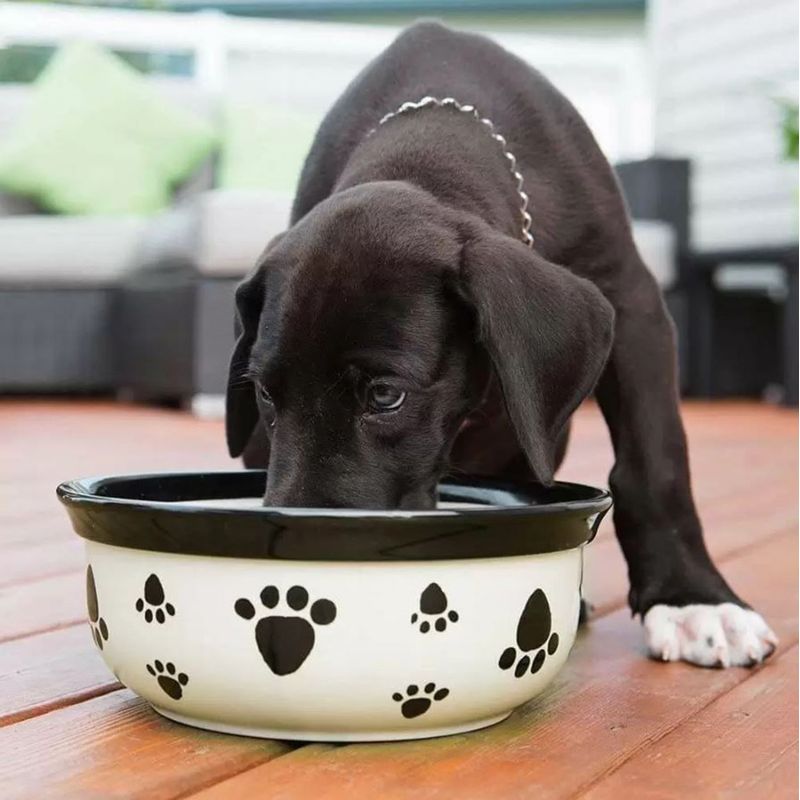 Vet's Best® Dental Breath Freshener 500 ml