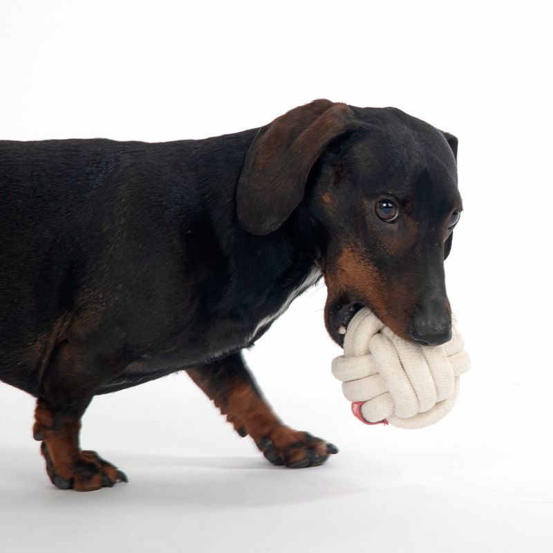 TIAKI Dog Toy Rope Ball Ø 9,1 cm