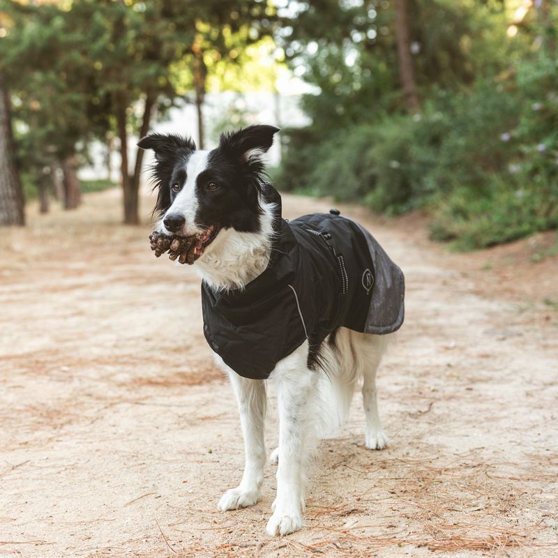 Nomad Tales Bloom Dog Coat - Black approx. 30cm Back Length