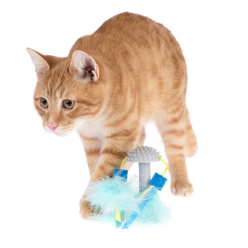 TIAKI interactive cat toy with suction cup 1 Toy