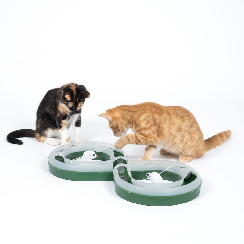 TIAKI Ball Track with Mice Cat Toy 1 Toy