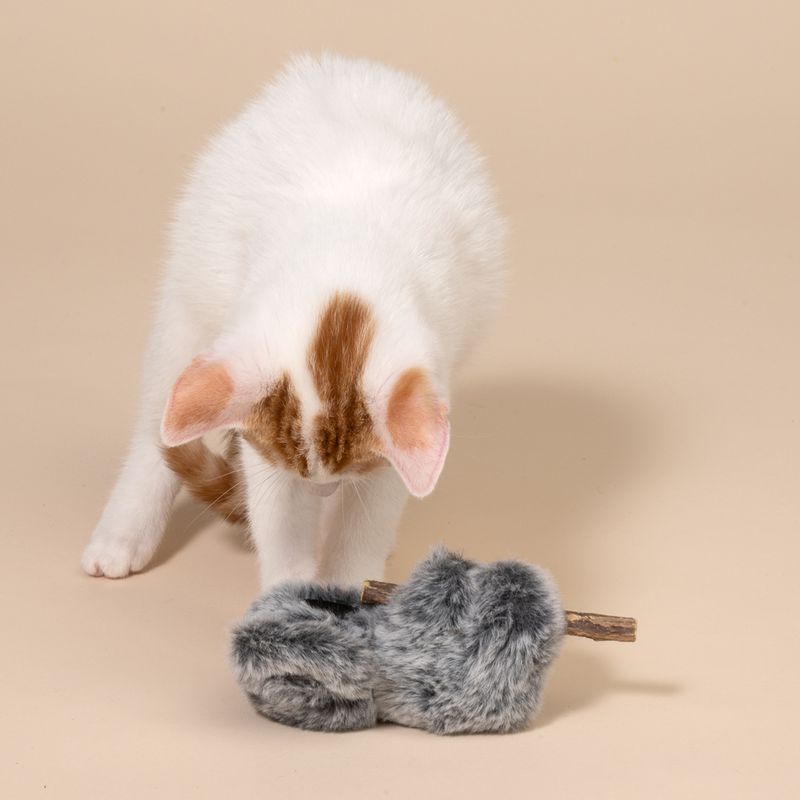 TIAKI Koala with Silvervine Stick Cat Toy 1 Toy