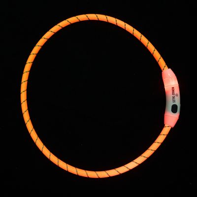 Nomad Tales Spirit USB Nylon Collar Yellow