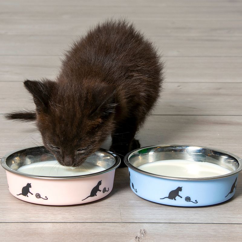 Karlie Ascar Stainless Steel Cat Bowl Pink: 160ml, diameter 10cm