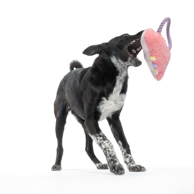 TIAKI Cloud Plush Toy with Rope 1 Toy