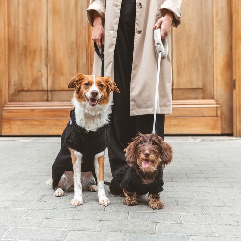 Nomad Tales Blush Dog Jumper - Ebony approx. 35cm Back Length