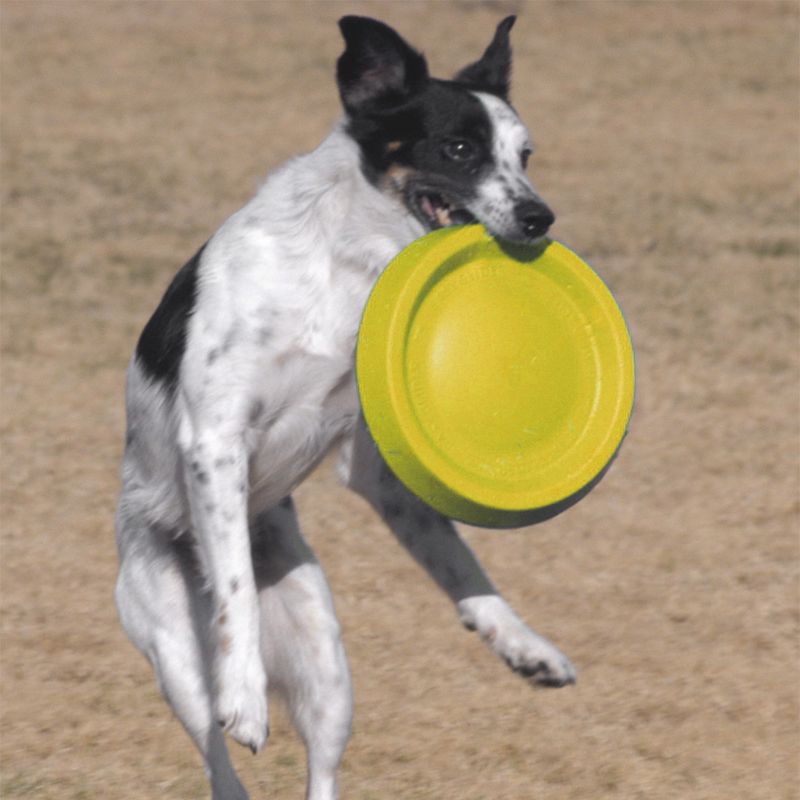 Starmark Easy Glider Durafoam Disc Size M: approx. Ø 23cm