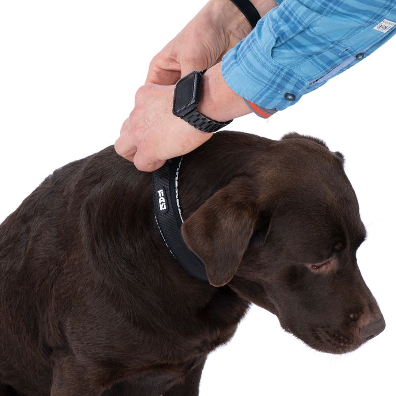 TIAKI Reflective Collar Size S: 25 - 35 cm Neck Circumference, 20mm Width