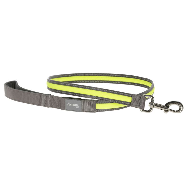 Kerbl Pet Light & Reflex Set Illuminated Collar and Lead Set: Collar Size S/M + Lead 120cm