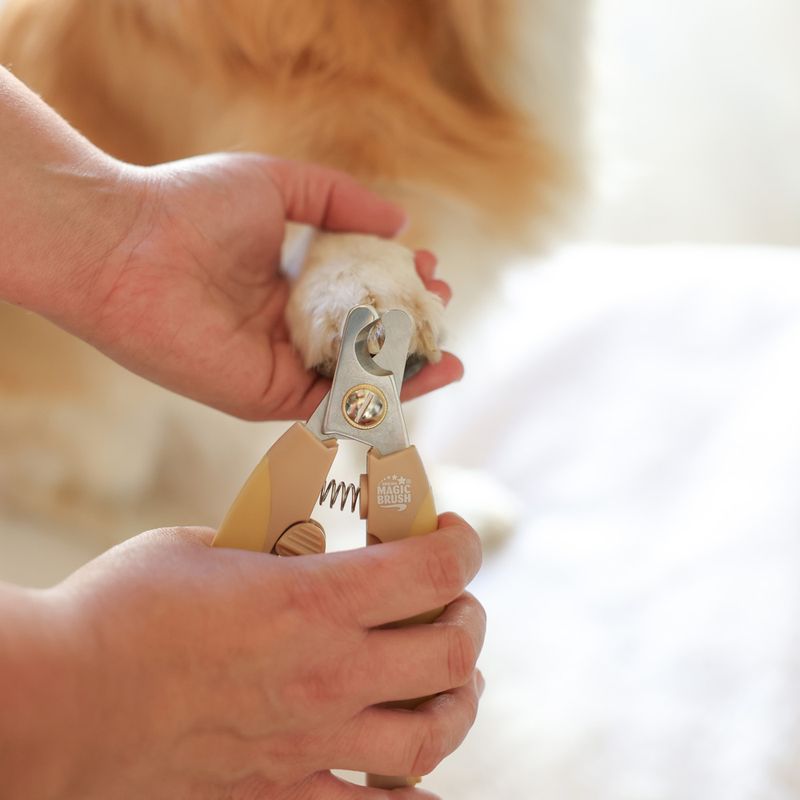 MagicBrush Claw Cutter 1 Claw Cutter