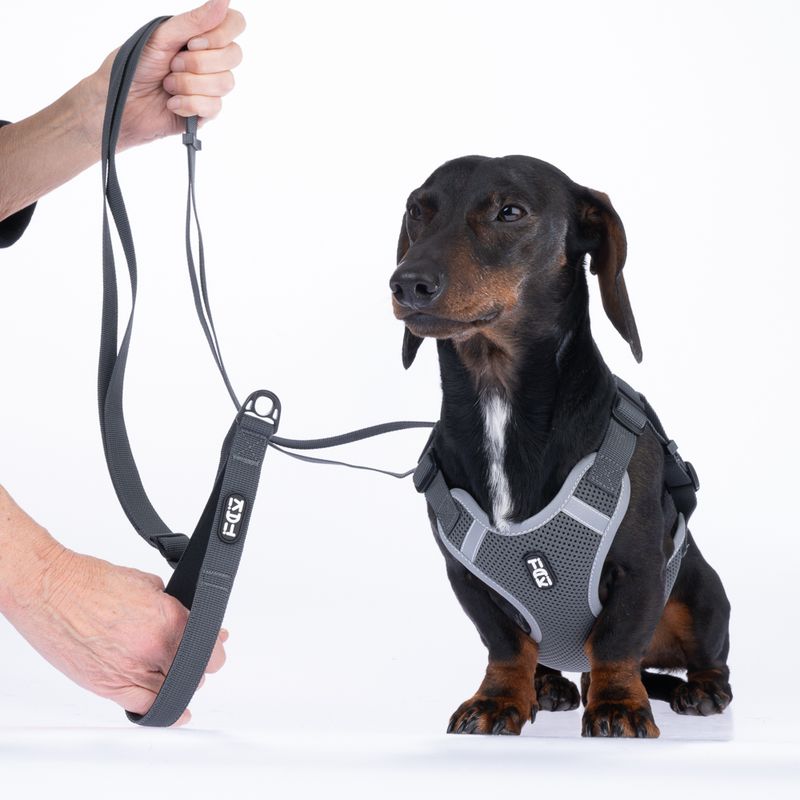 TIAKI Grey Dog Lead Length: approx. 150 - 200 cm