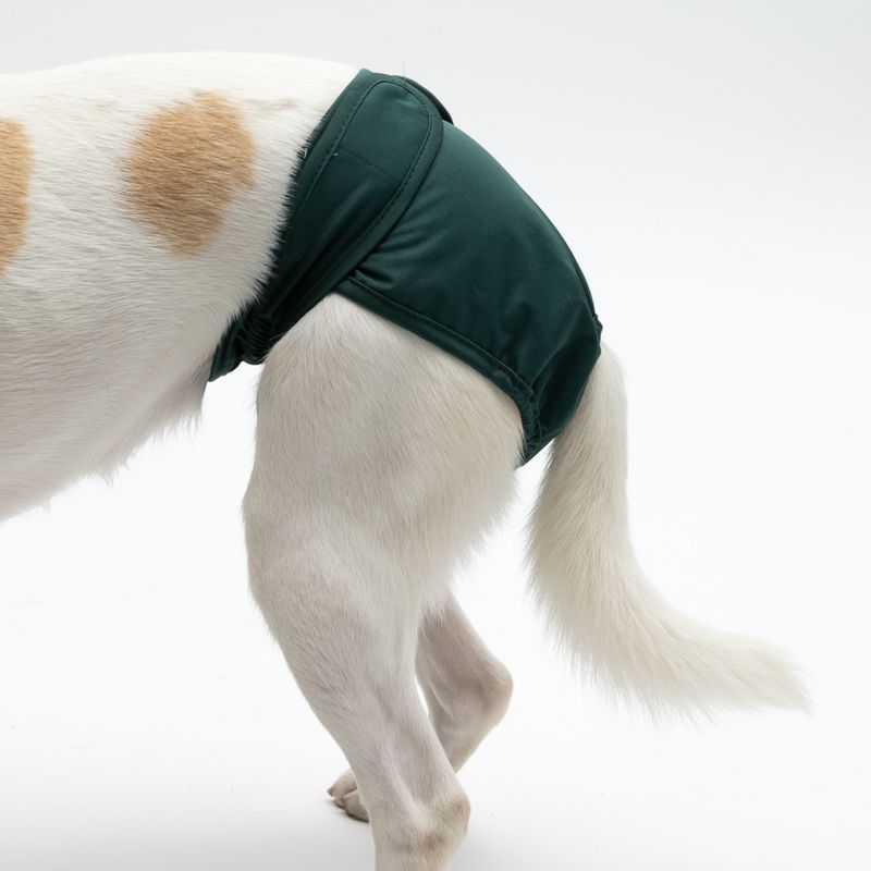 kooa Washable Nappy for Female Dogs Size XS