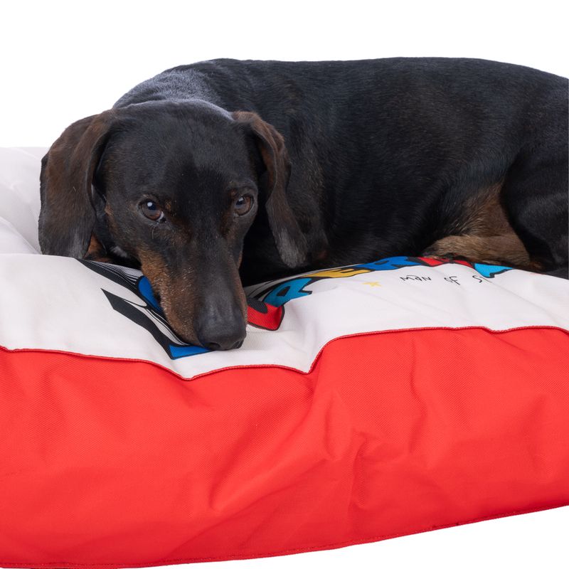 DC Superman Dog Mattress Size S: 80 x 50 x 15 cm (L x W x H)
